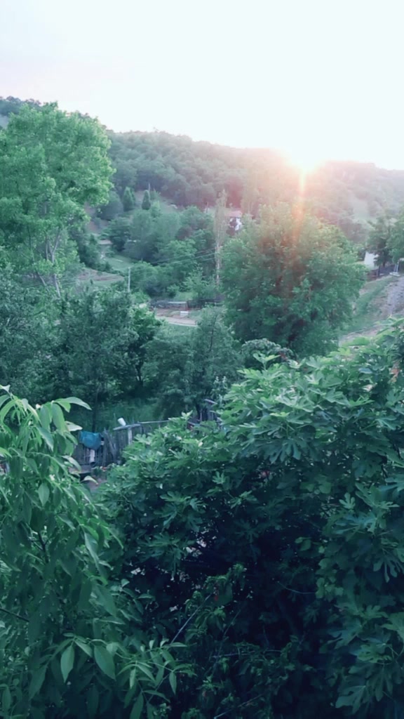 @sura.yilmaz