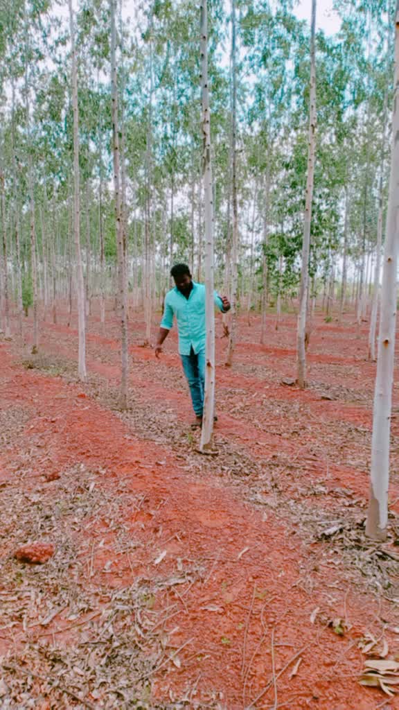 @surendar
