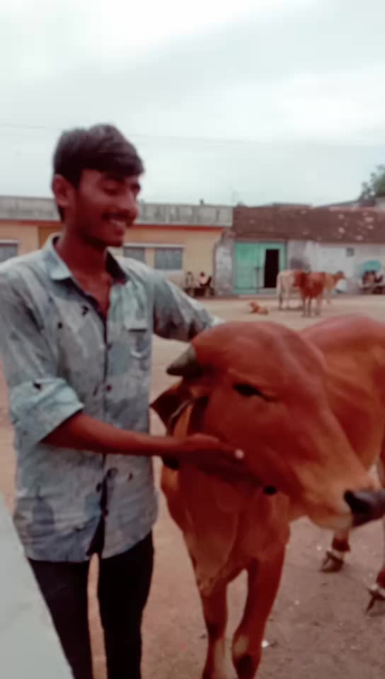 @🙏🐄જય દ્વારકાધીશ🐄