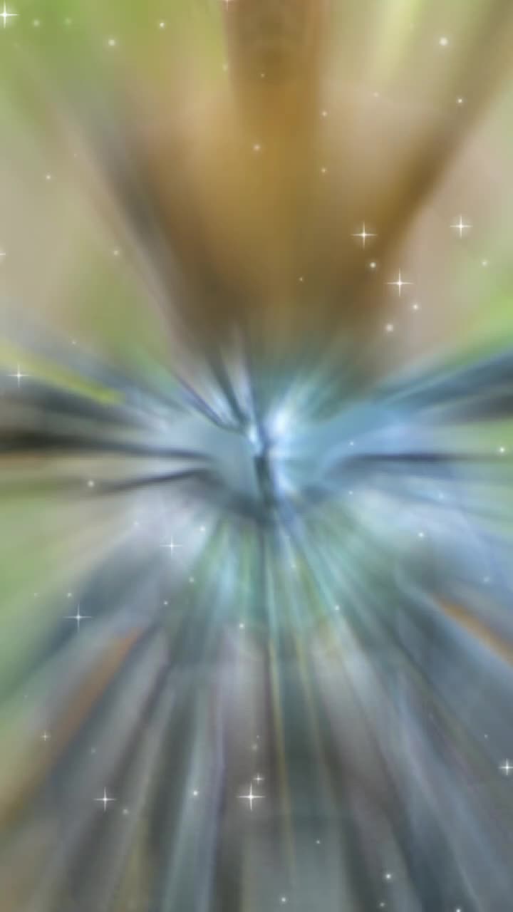 @vamsi@1006