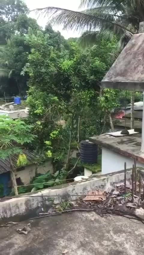 @Aslamachu