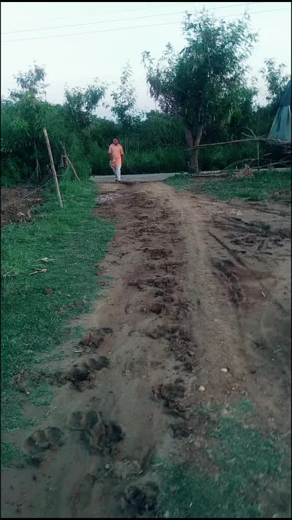 @JHANGRA AMRALI