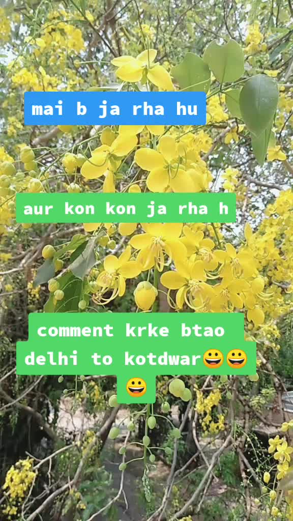 @lalit singh