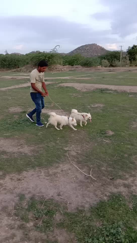 @failure boy Raju
