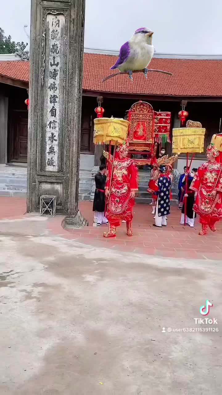 @1️⃣3️⃣0️⃣5️⃣ Hoàng Oanh 8️⃣0️⃣