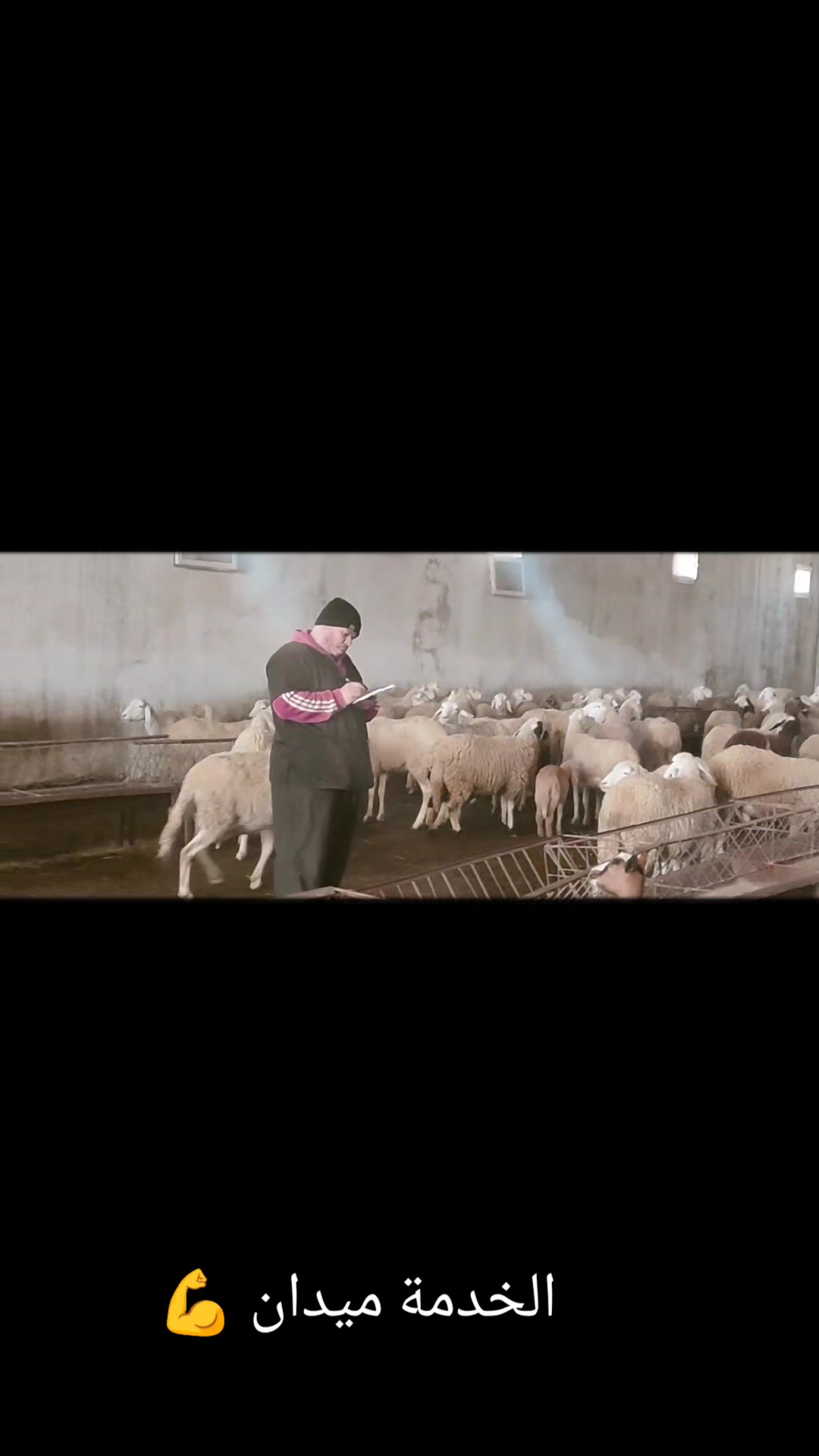 @طبيب بيطري و أفتخر