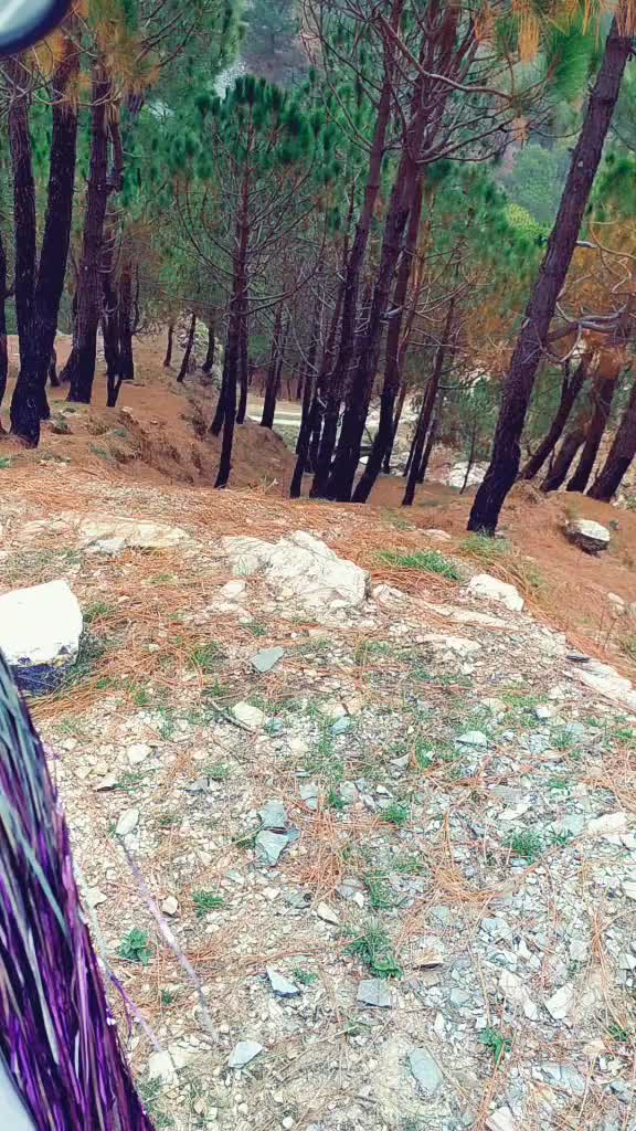 @C༒ॐ महाकाल भक्त ॐ༒