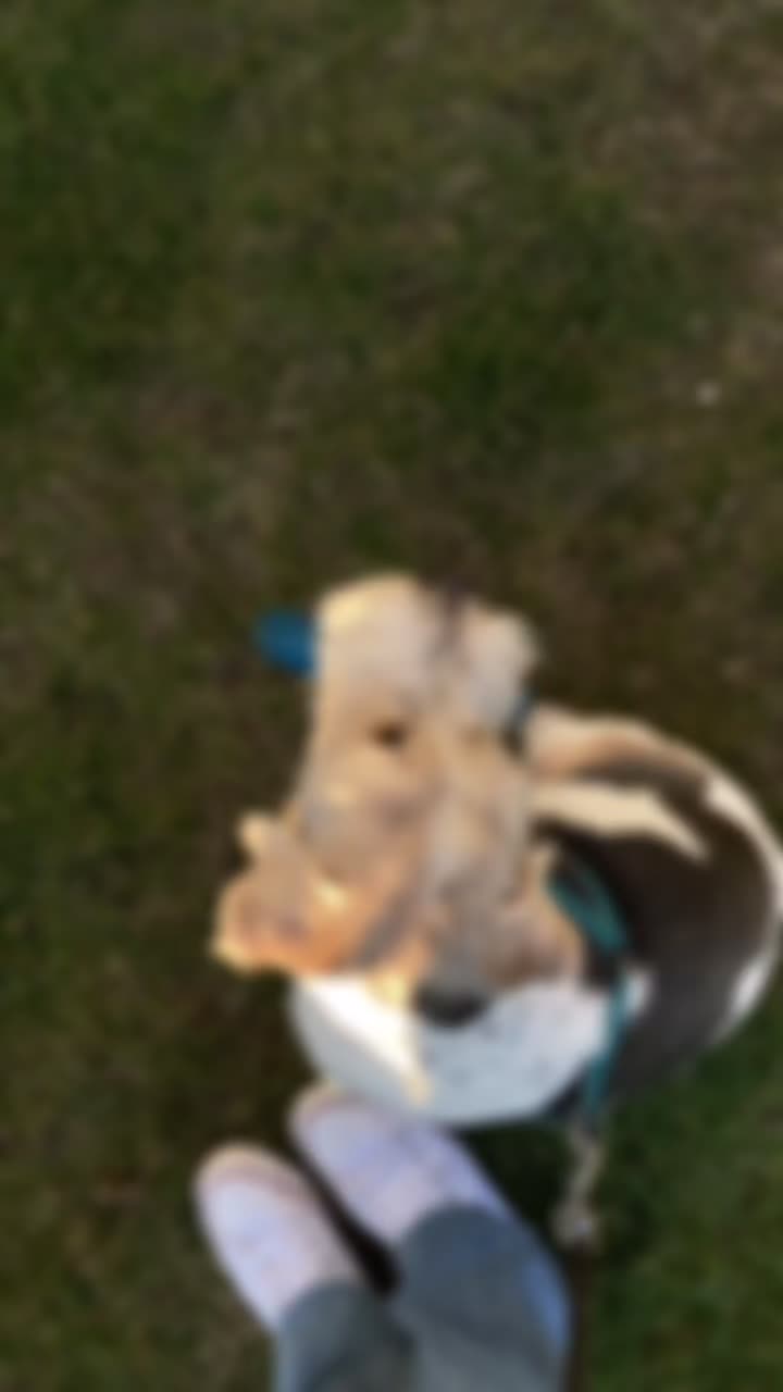 @𝐻𝑢𝑔𝑜