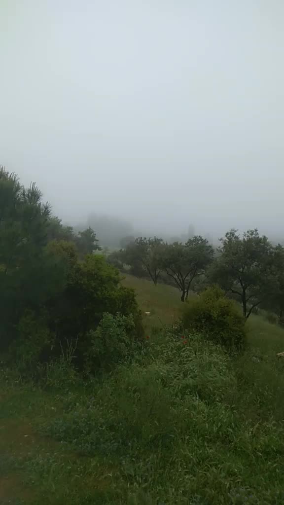 @Saffet Can yıldız