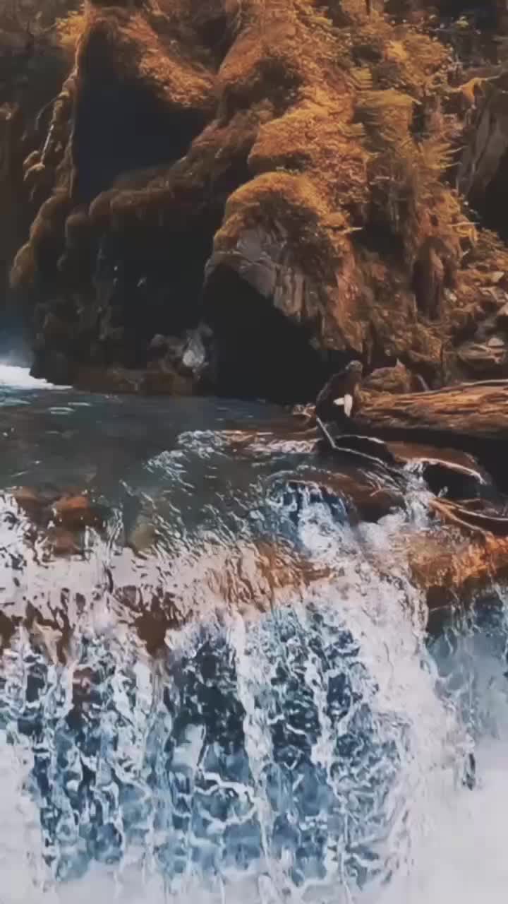 @Sathwik