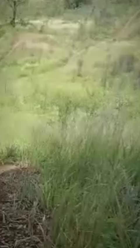 @SiPalingTrabas🗿