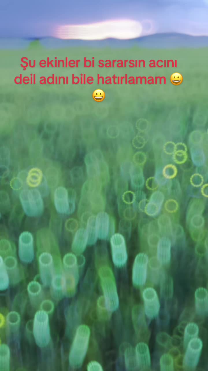 @Oguzhan.ozgl