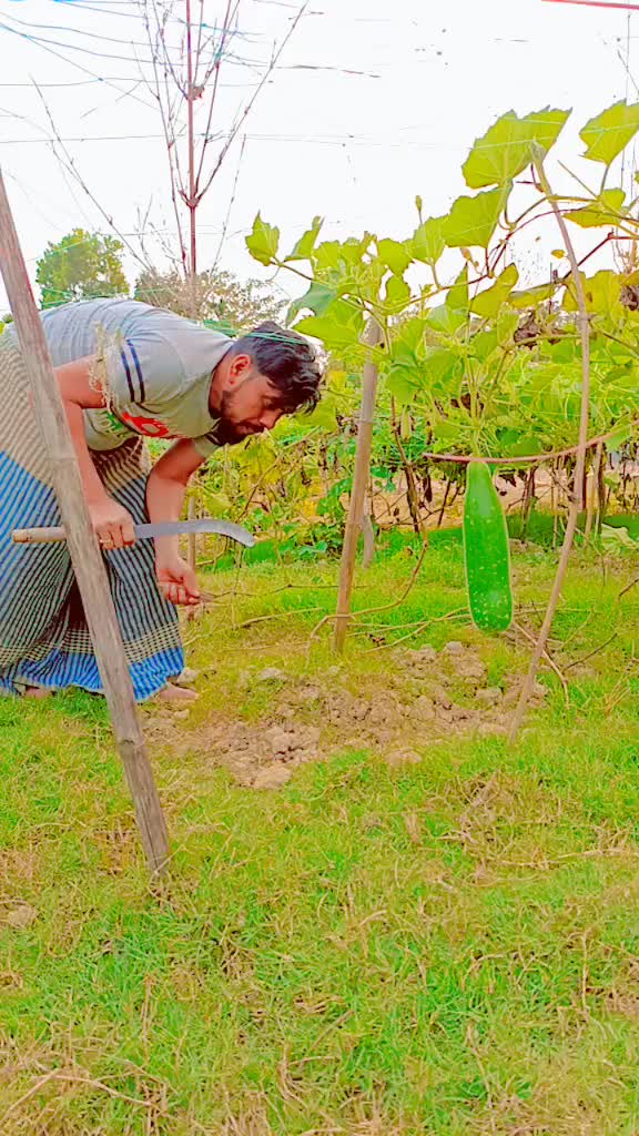 @Liton1183