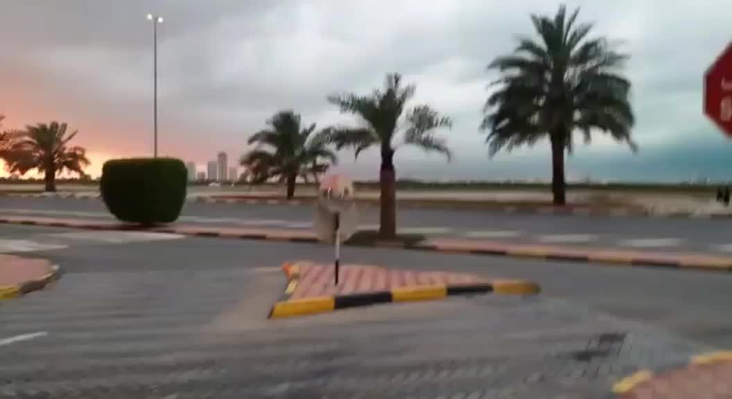 @صالح محمد الشماسی 🇦