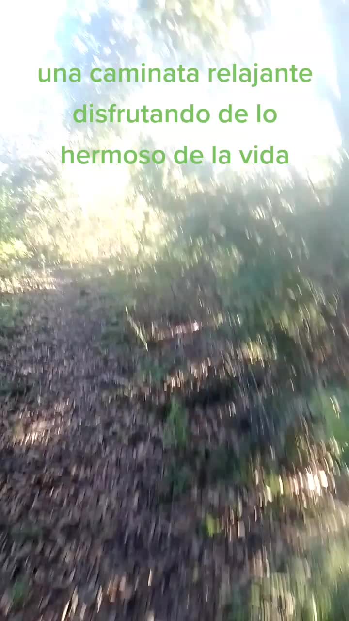@trabajo💪arte🖼️🐲🐸aventuras