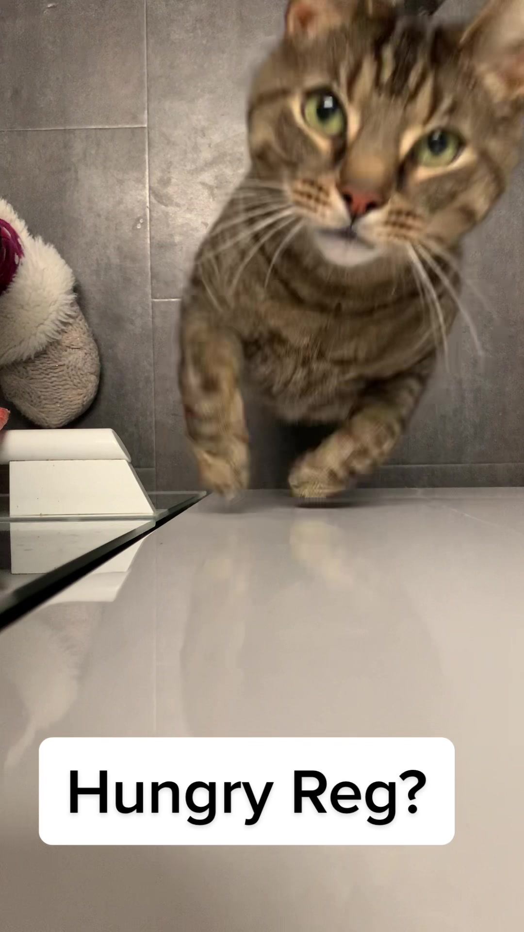 @Nala