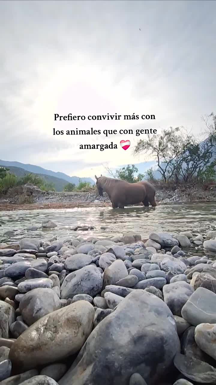 @El Wero Garc&iacute;a🤠🇲🇽