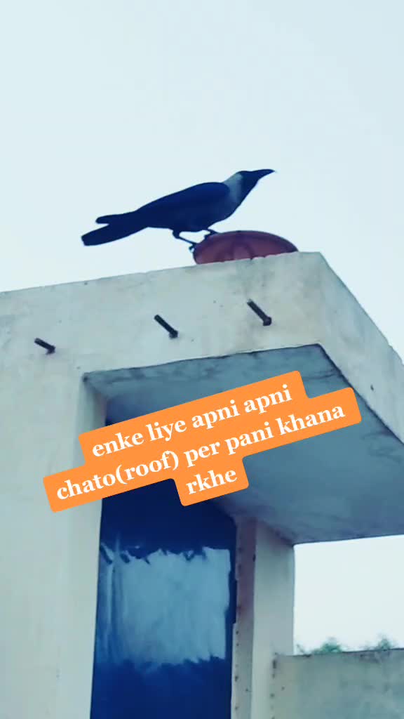 @Catty cute