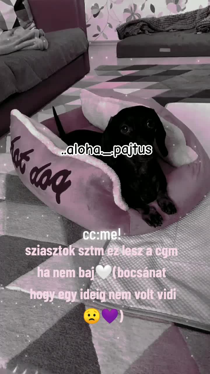 @❤️!abba hagytam!❤️