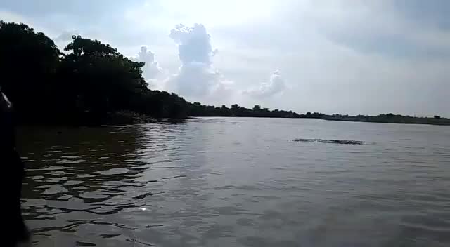 @myselfsiddiqui