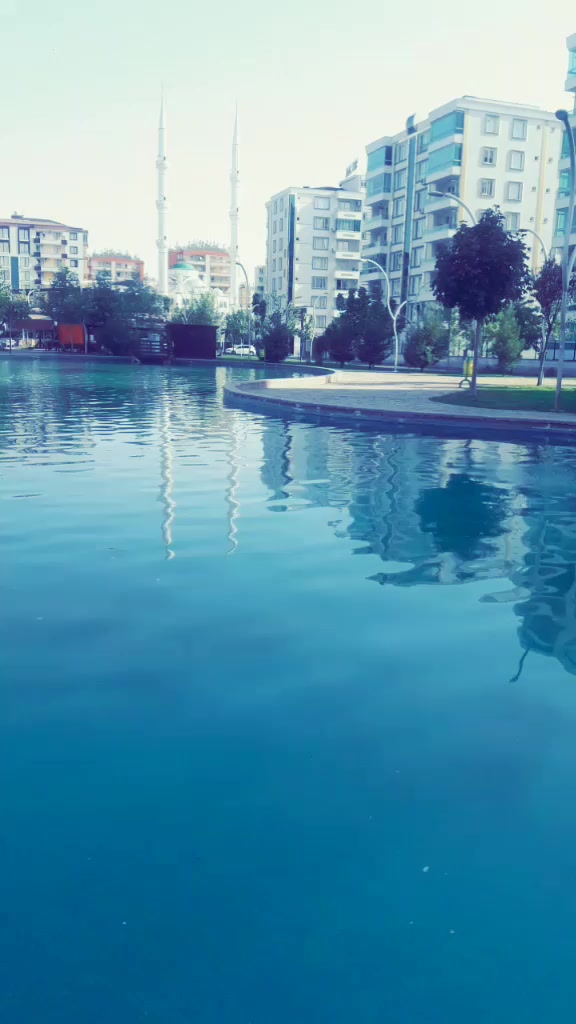 @delal guler