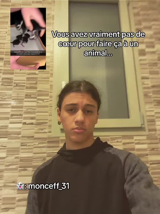 @Djazairi 🇩🇿