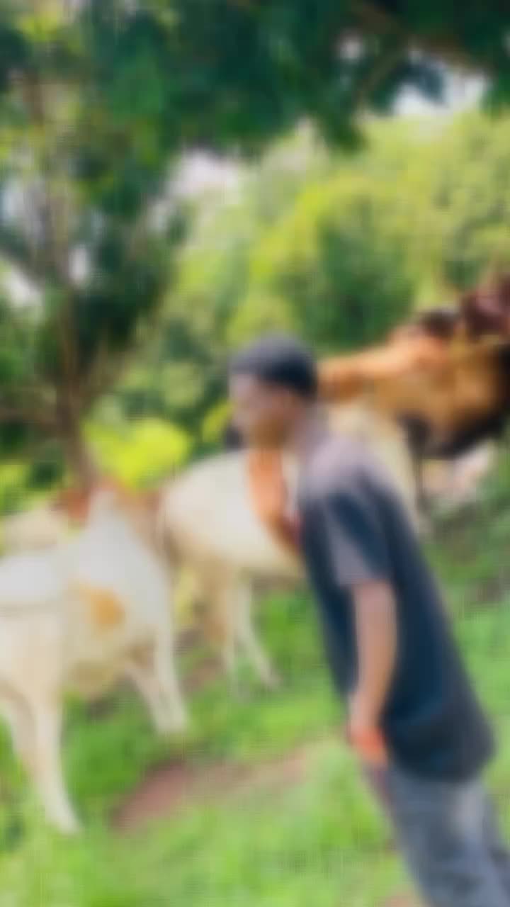 @mouminekaba780