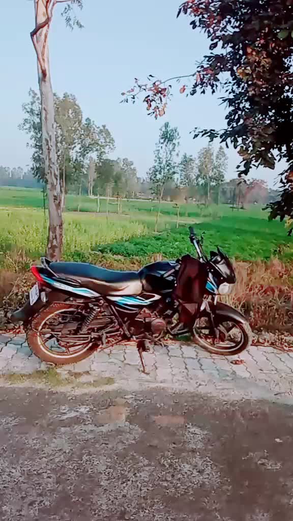 @Sultaan Ansari