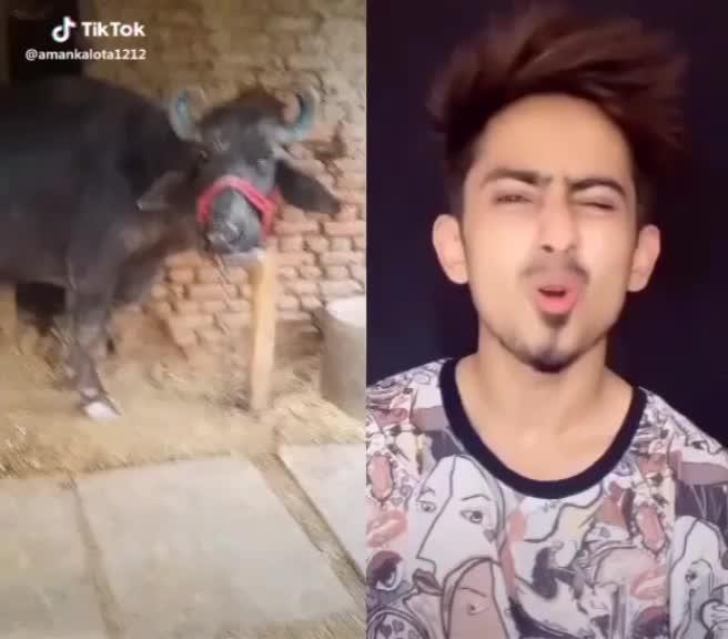 @AmanKalota