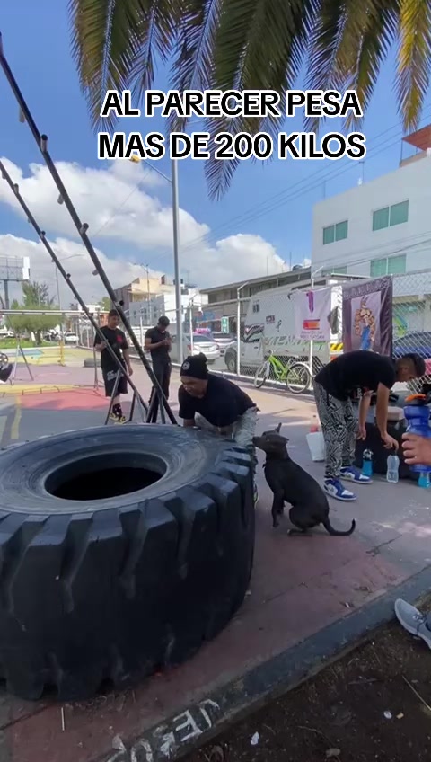 @elbeta 12