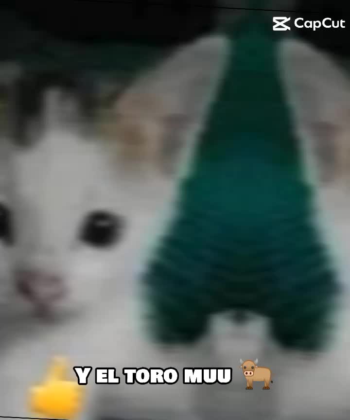 @quakitty❤