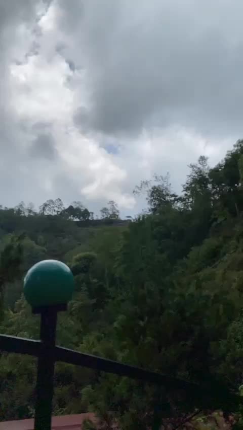 @sarunepalbhandari