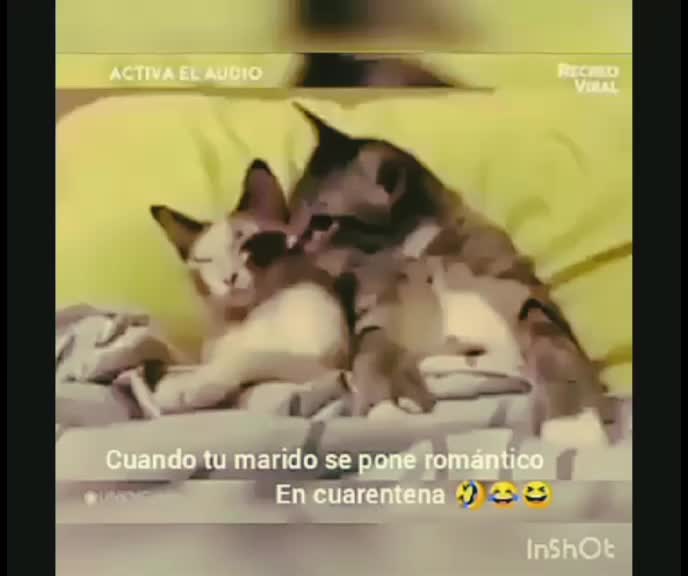 @Caterine García