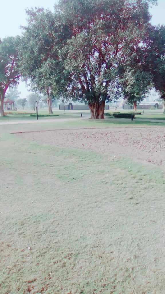 @Arshiarajooot