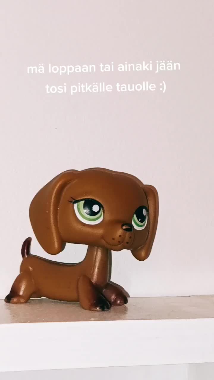 @🌟lps nakki🌟