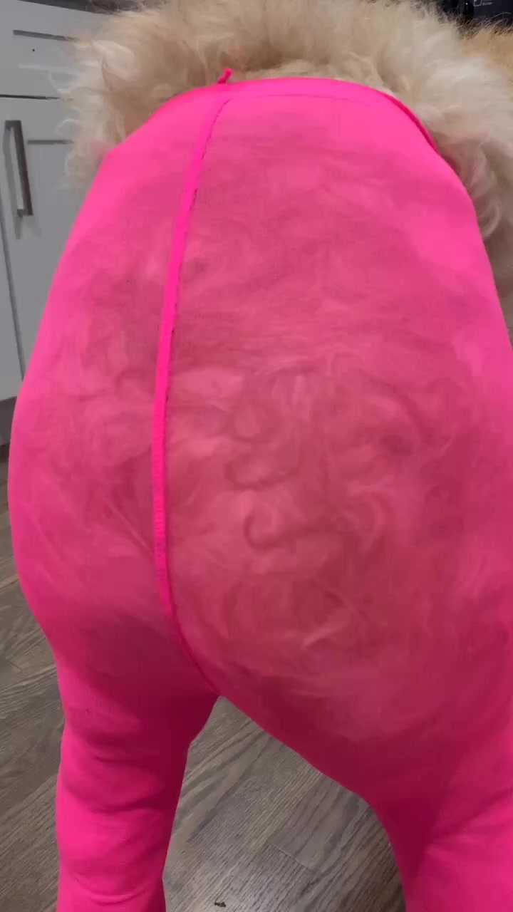 @Obviouslyveronica