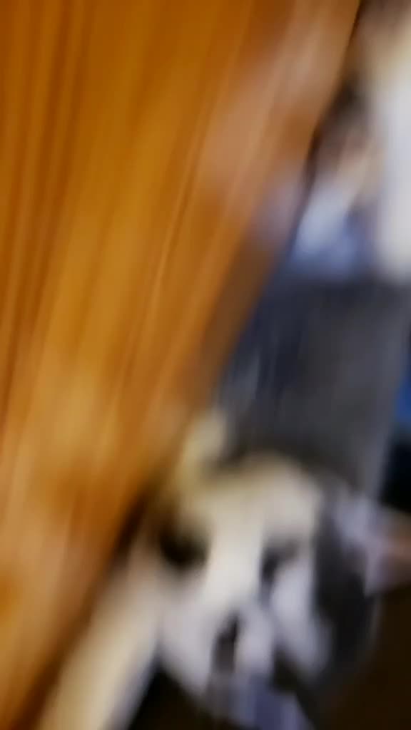 @Ryu