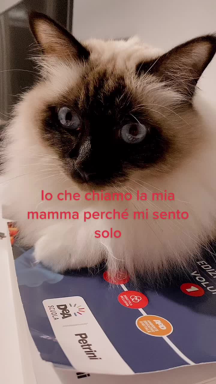 @Cristina Tarantino
