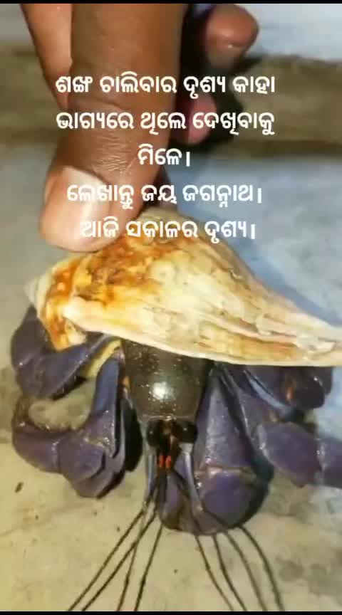 @subhasmita suraj