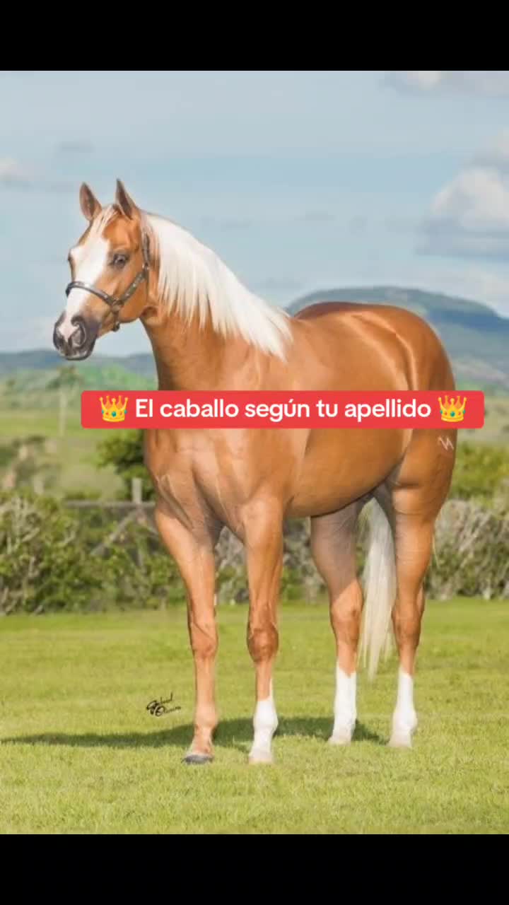 @Guillermo⚡☘️