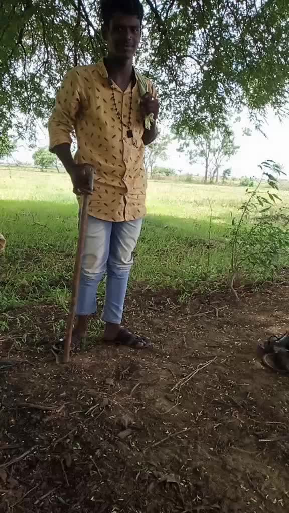 @prabujogi