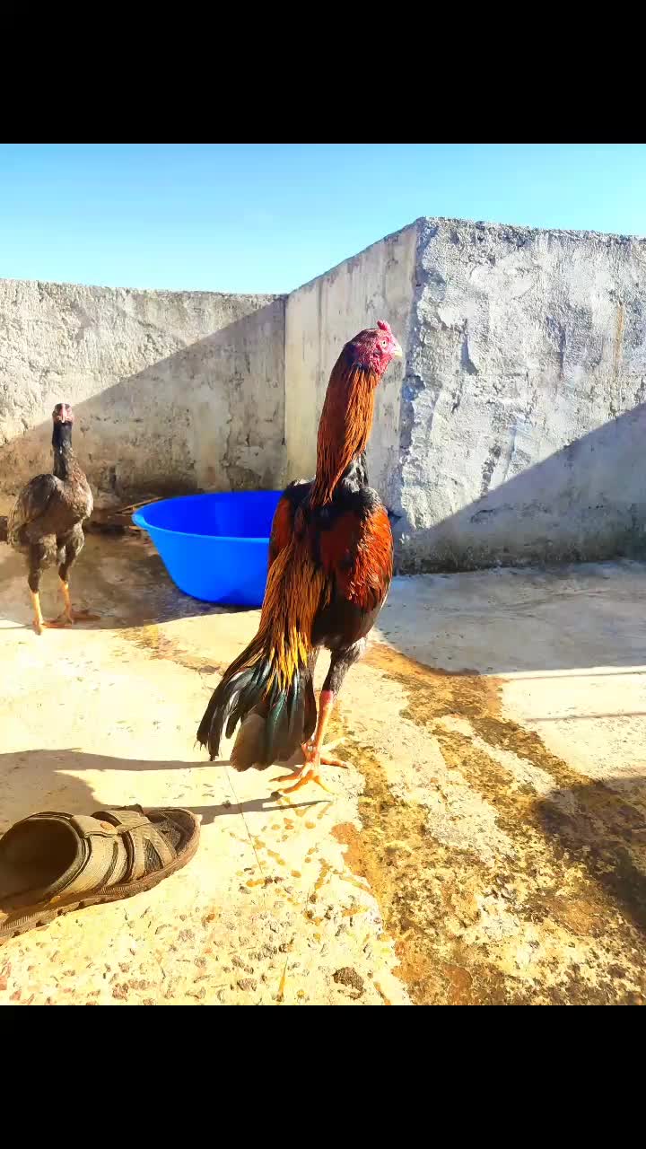 @Salih Öztürk