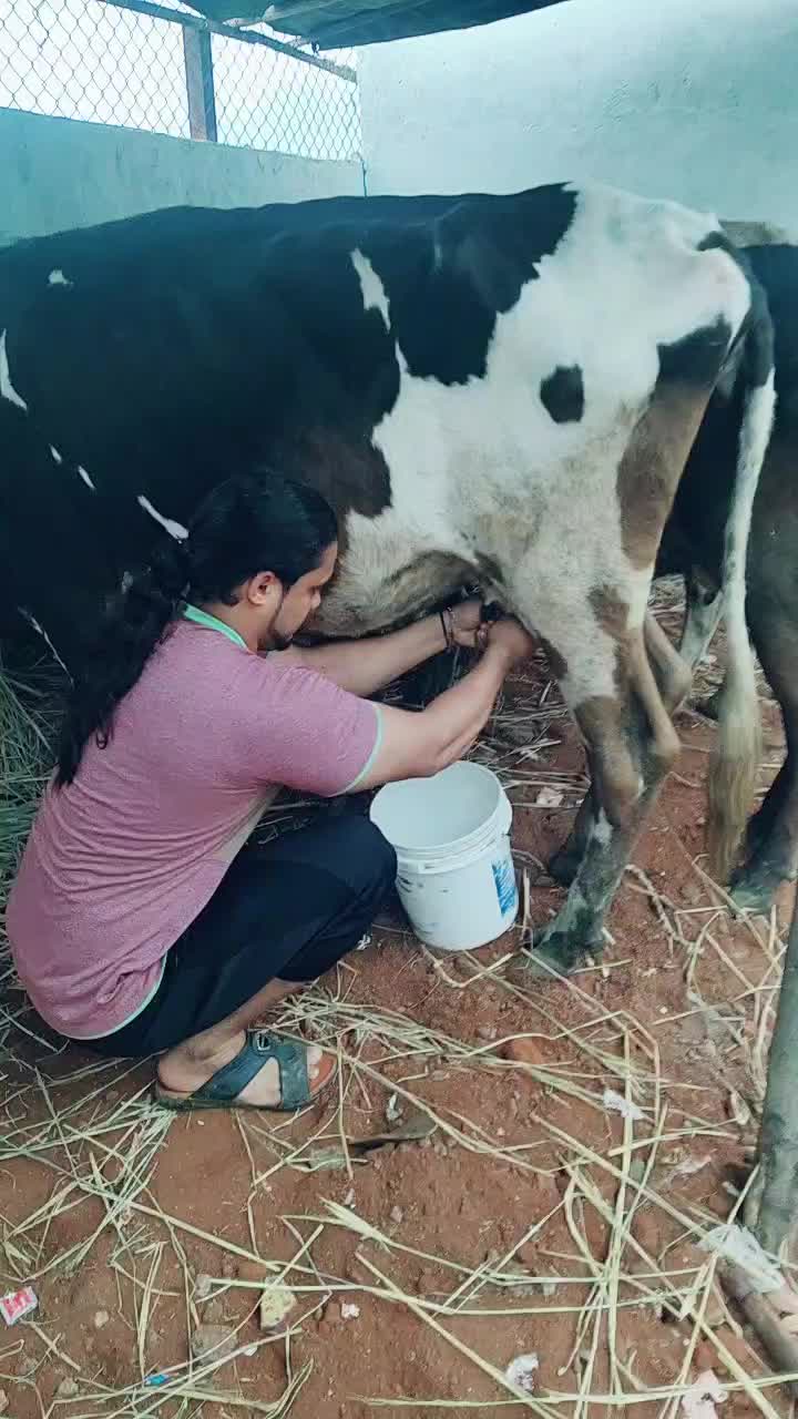 @Ahmed Nahdi boltey