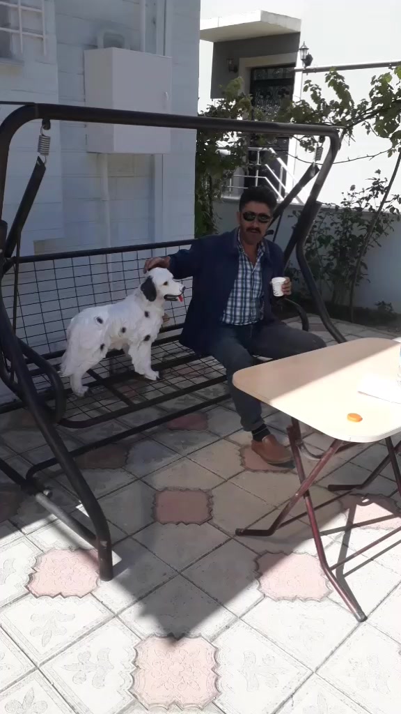 @Erdoğan Alerik