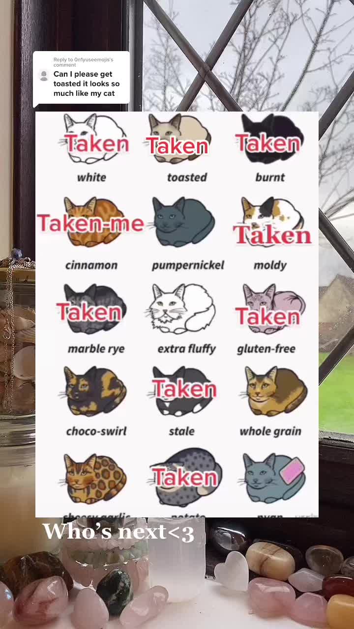 @๐๐๐ญ๐ข๐ โ