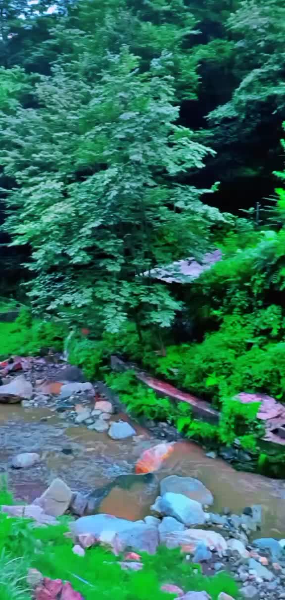 @Muhammad TAQI Khan