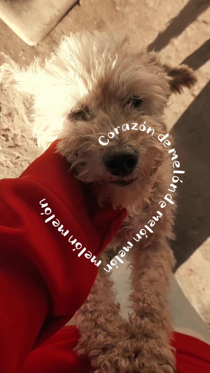 @@ ๐๐ช๐ ๐ชท