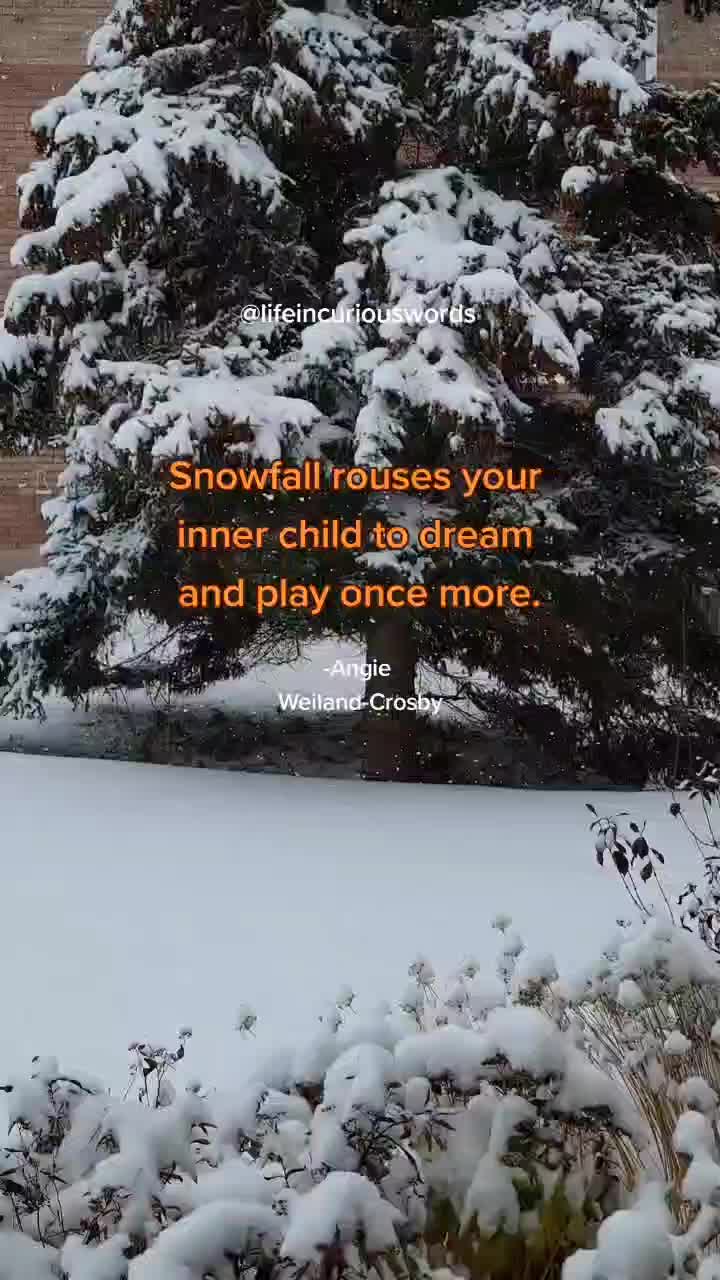 @💐 Life In Curious Words