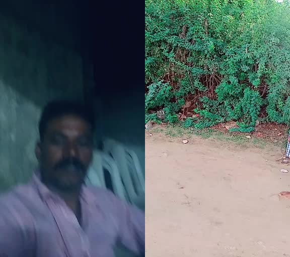 @sarukhan S.A
