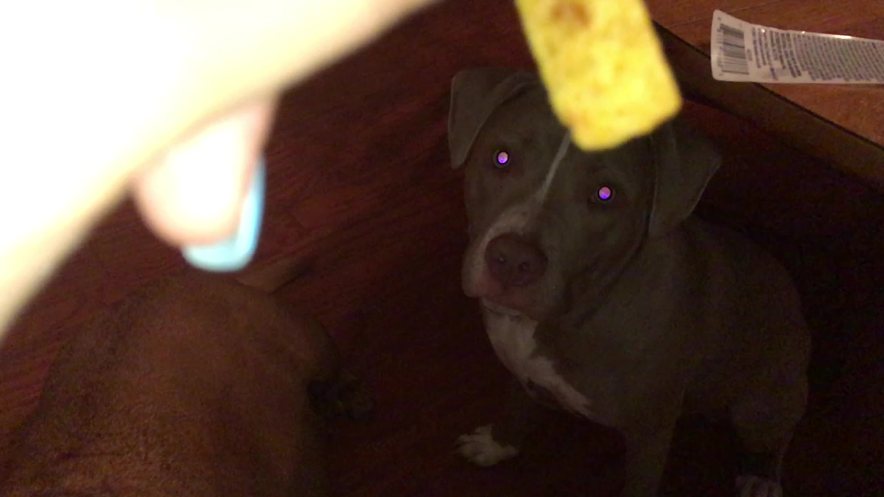 @🥴 Zoey 🥴